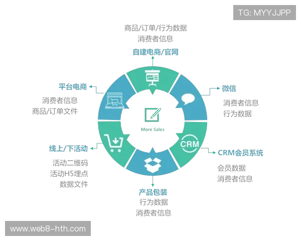 用户服务标准体系建立,跨平台体验一致性提升